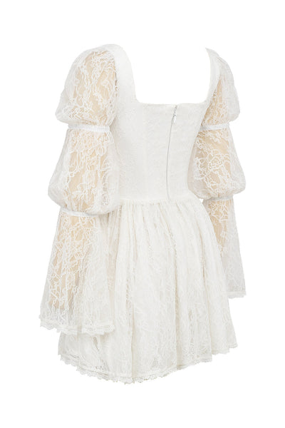 Evangeline - Lace Mini Dress